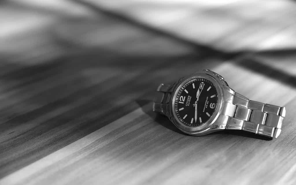 Citizen Funkuhr WR 100